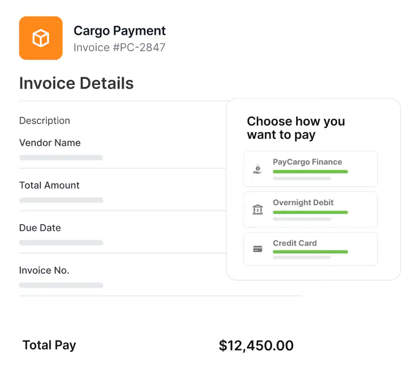 UI design of an invoice payment screen, featuring fields for payment details and a submit button.